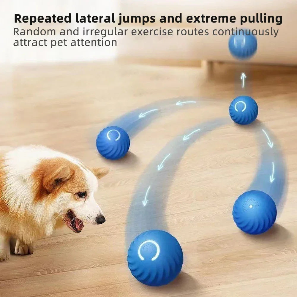  Best Self Moving Dog Toy